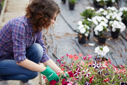 Beautiful Notting Hill garden with vibrant flowers and lush greenery