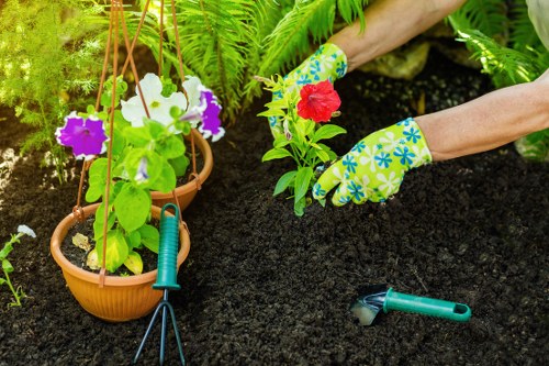 Selection of native plants ideal for Notting Hill's climate