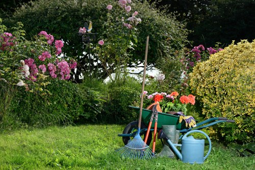 Notting Hill garden adapted to local climate