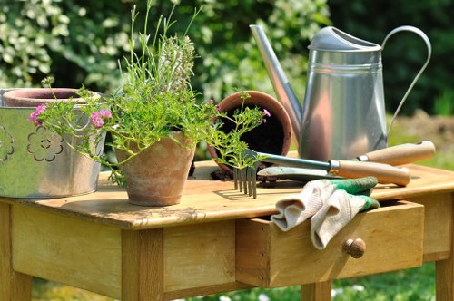 Expert landscapers working on a well-maintained lawn in Notting Hill
