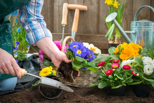 Deck maintenance and care services