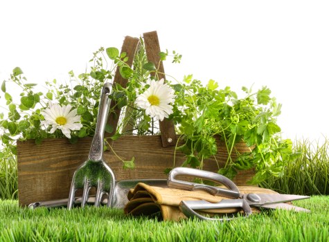 Eco-friendly decking options in Notting Hill